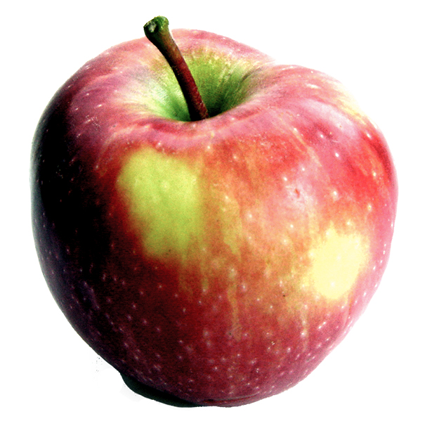 Apple-onwhite-healthy