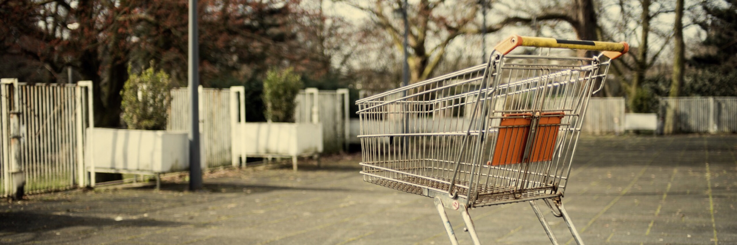 Grocery cart alone